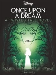 Disney Princess Sleeping Beauty: Once Upon a Dream цена и информация | Книги для подростков  | pigu.lt