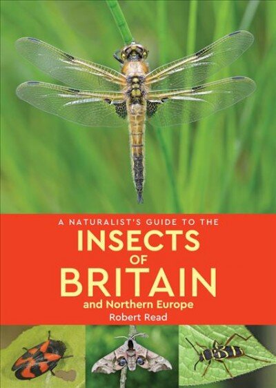 Naturalist's Guide to the Insects of Britain and Northern Europe (2nd edition) 2nd Revised edition kaina ir informacija | Knygos apie sveiką gyvenseną ir mitybą | pigu.lt