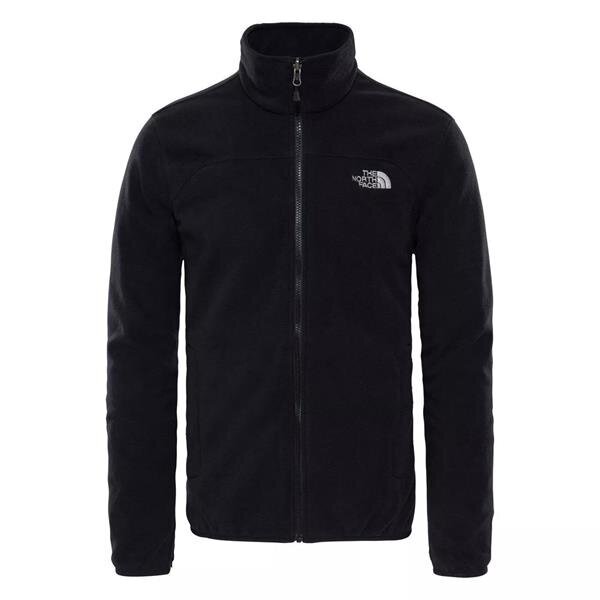 Striukė vyrams The North Face NF00CG55JK31 kaina ir informacija | Vyriškos striukės | pigu.lt