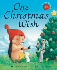 One Christmas Wish цена и информация | Книги для самых маленьких | pigu.lt