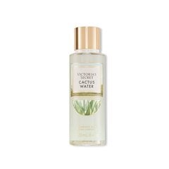 Kūno dulksna Victoria's Secret Cactus Water, 250 ml kaina ir informacija | Kūno kremai, losjonai | pigu.lt