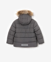 Детская зимняя куртка Gulliver, серая цена и информация | Зимняя одежда для детей | pigu.lt