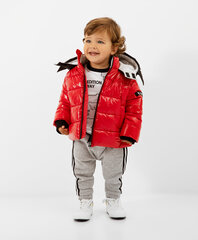 Куртка демисезонная красная с капюшоном для мальчиков «Gulliver», 104*56*51 cm цена и информация | Зимняя одежда для детей | pigu.lt