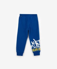 Брюки Gulliver для мальчиков, синие цена и информация | Спортивные штаны для мальчиков | pigu.lt