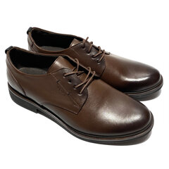 Мужские кожаные туфли KRISBUT 183749 цена и информация | Мужские ботинки | pigu.lt
