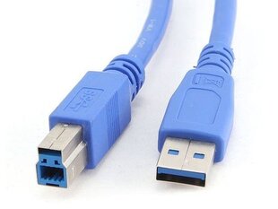 Gembird, USB-A/USB-B, 0.5 m kaina ir informacija | Kabeliai ir laidai | pigu.lt