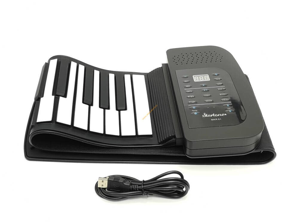 Nešiojama klaviatūra DNA ROLL 61 kaina ir informacija | Klavišiniai muzikos instrumentai | pigu.lt