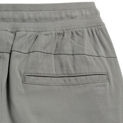 Мужские брюки Outhorn серый  цена и информация | Мужские термобрюки, темно-синие, SMA61007 | pigu.lt