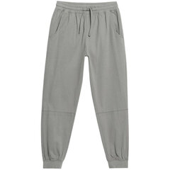 Мужские брюки Outhorn серый  цена и информация | Мужская спортивная одежда | pigu.lt