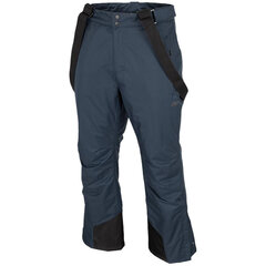 Мужские лыжные штаны 4F темно-синий цена и информация | Мужская лыжная одежда | pigu.lt