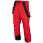 Vyriškos slidinėjimo kelnės 4F raudonos spalvos H4Z22 SPMN001 62S kaina ir informacija | Vyriškа slidinėjimo apranga | pigu.lt