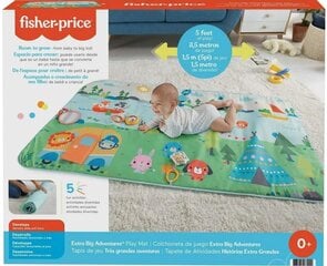 Lavinamasis kilimėlis Fisher-Price GXR53 kaina ir informacija | Lavinimo kilimėliai | pigu.lt