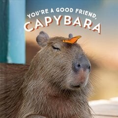 You're a Good Friend, Capybara цена и информация | Fantastinės, mistinės knygos | pigu.lt
