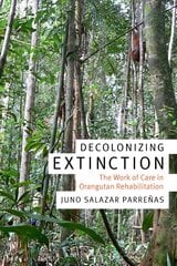 Decolonizing Extinction: The Work of Care in Orangutan Rehabilitation kaina ir informacija | Ekonomikos knygos | pigu.lt