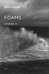 Foams: Spheres Volume III: Plural Spherology цена и информация | Исторические книги | pigu.lt