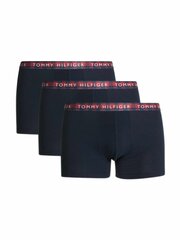 Trumpikės vyrams Tommy Hilfiger, mėlyni цена и информация | Мужские трусы | pigu.lt