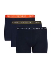 Trumpikės vyrams Tommy Hilfiger, mėlyni цена и информация | Мужские трусы | pigu.lt