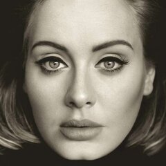 Виниловая пластинка «Adele: 25» цена и информация | Виниловые пластинки, CD, DVD | pigu.lt