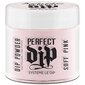 Pudra - barstomas akrilas Artistic Perfect Dip Powder Soft Pink, 23 g цена и информация | Manikiūro, pedikiūro priemonės | pigu.lt