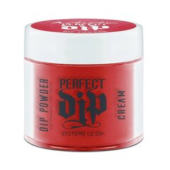 Barstomas akrilas Artistic Perfect Dip Powder Social Diva, 23 g kaina ir informacija | Manikiūro, pedikiūro priemonės | pigu.lt