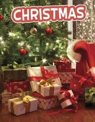 Christmas цена и информация | Книги для подростков  | pigu.lt