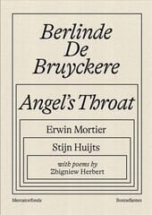 Berlinde De Bruyckere: Angel's Throat цена и информация | Книги об искусстве | pigu.lt