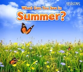 What Can You See In Summer? цена и информация | Книги для самых маленьких | pigu.lt