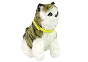 Interaktyvus pliušinis katinas, baltas kaina ir informacija | Minkšti (pliušiniai) žaislai | pigu.lt