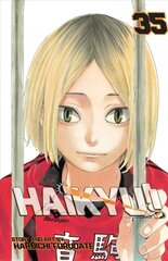 Haikyu!!, Vol. 35: Birdcage kaina ir informacija | Fantastinės, mistinės knygos | pigu.lt