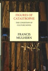 Figures of Catastrophe: The Condition of Culture Novel цена и информация | Исторические книги | pigu.lt