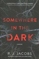 Somewhere In The Dark kaina ir informacija | Fantastinės, mistinės knygos | pigu.lt