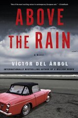Above The Rain: A Novel цена и информация | Fantastinės, mistinės knygos | pigu.lt