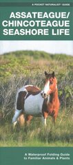 Assateague/Chincoteague Seashore Life: A Waterproof Folding Guide to Familiar Animals & Plants 2nd ed. цена и информация | Развивающие книги | pigu.lt