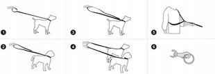 Поводок кожаный для животных Hobbydog, светло-коричневый цвет, разные размеры цена и информация | Поводки для собак | pigu.lt