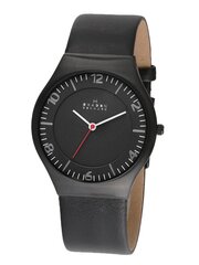 Часы для мужчин Skagen SKW6113 цена и информация | Мужские часы | pigu.lt