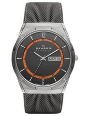 Часы мужские Skagen SKW6007 цена и информация | Мужские часы | pigu.lt