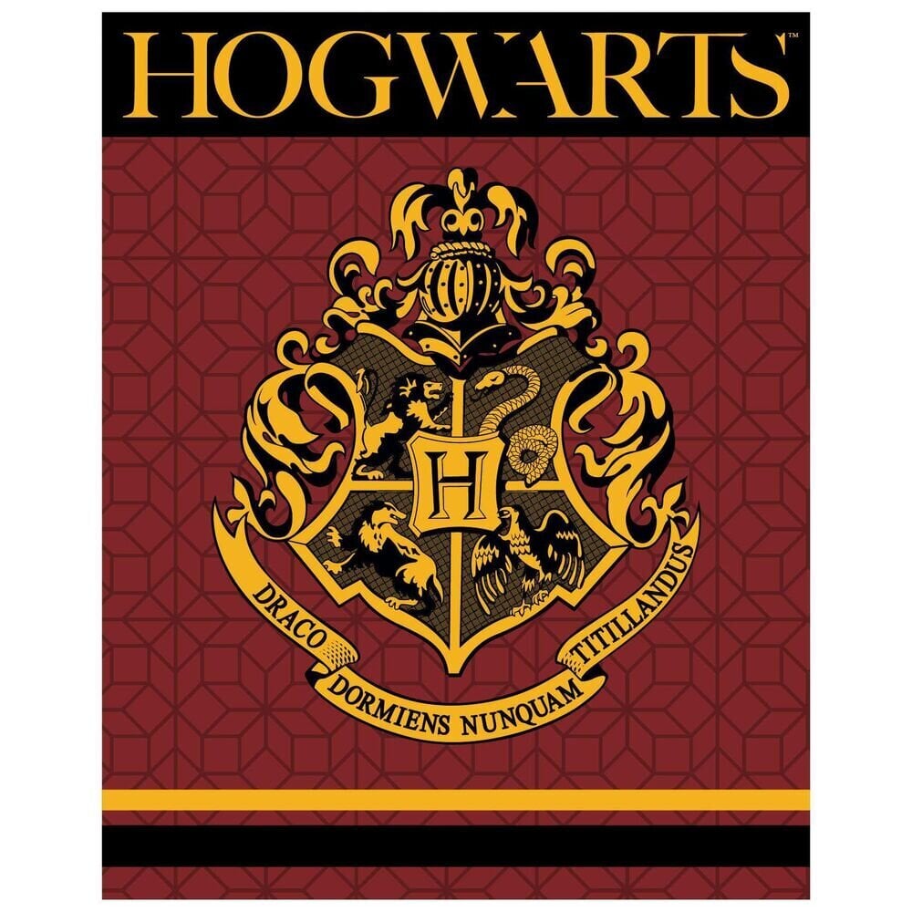 Harry Potter antklodė, 120x150 cm цена и информация | Antklodės | pigu.lt