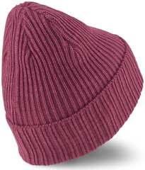 Kepurė moterims Puma Ribbed Classic Cuff Beanie Bordeaux 024038 05 024038 05 kaina ir informacija | Puma Aksesuarai moterims | pigu.lt