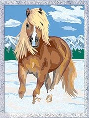 Ravensburger Creart Королевская конная краска по номерам для детей - наборы для рисования искусства и ремесел до 9 лет цена и информация | Набор для рисования по номерам | pigu.lt