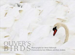 Oliver's Birds: By Oliver Hellowell Annotated edition kaina ir informacija | Fotografijos knygos | pigu.lt