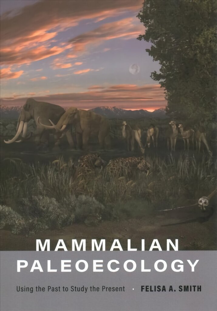 Mammalian Paleoecology: Using the Past to Study the Present kaina ir informacija | Ekonomikos knygos | pigu.lt