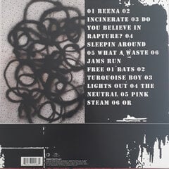 Sonic Youth - Rather Ripped, LP, vinilo plokštė, 12" vinyl record kaina ir informacija | Vinilinės plokštelės, CD, DVD | pigu.lt