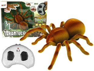Nuotoliniu pulteliu valdomas žaislas Lean Toys Tarantulas, rudas kaina ir informacija | Žaislai berniukams | pigu.lt