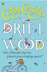 Driftwood цена и информация | Книги для подростков и молодежи | pigu.lt