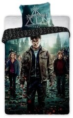 Комплект постельного белья Harry Potter, 135x200 см, 2 части цена и информация | Комплекты постельного белья | pigu.lt