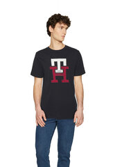 Marškinėliai vyrams Tommy Hilfiger, juoda цена и информация | Футболка мужская | pigu.lt