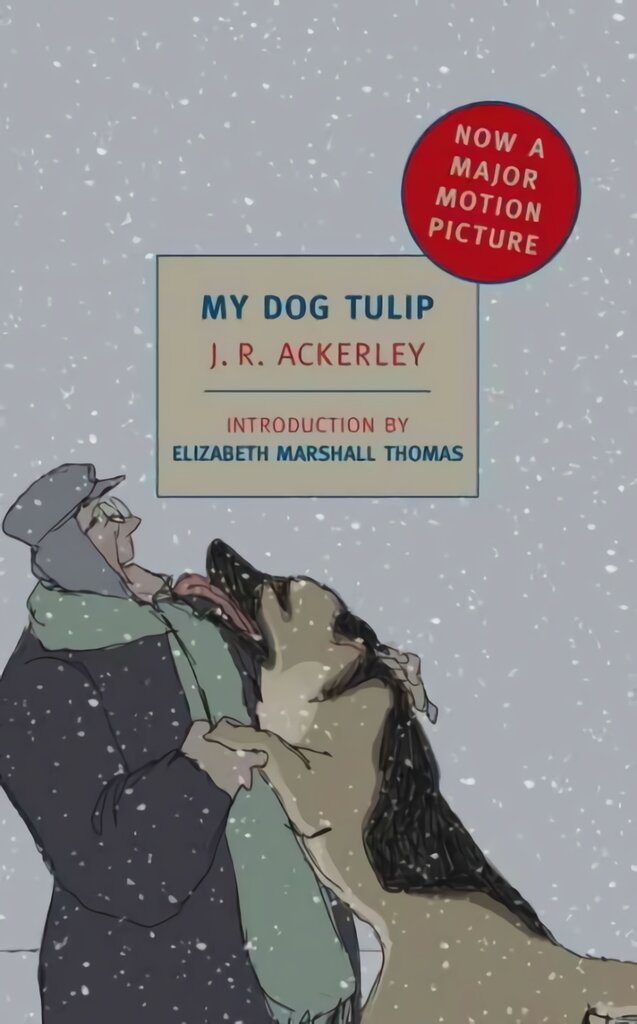 My Dog Tulip Main цена и информация | Biografijos, autobiografijos, memuarai | pigu.lt