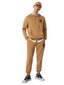 Sportinės kelnės vyrams Tommy Hilfiger, rudos kaina ir informacija | Sportinė apranga vyrams | pigu.lt