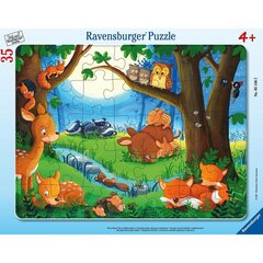 Пазл Ravenburger Frame, 35 шт. Спящие животные цена и информация | Пазлы | pigu.lt