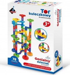 Цветная головоломка, Аскато цена и информация | Развивающие игрушки | pigu.lt